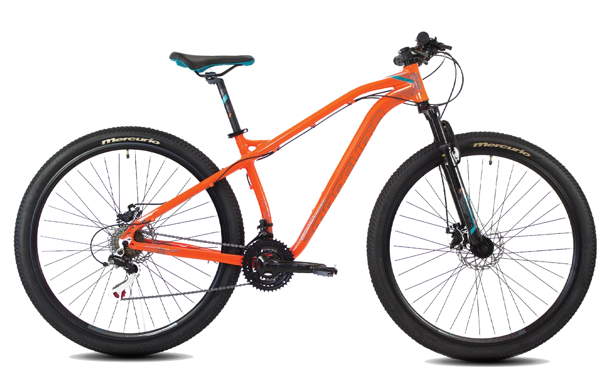 Bici discount ranger 29