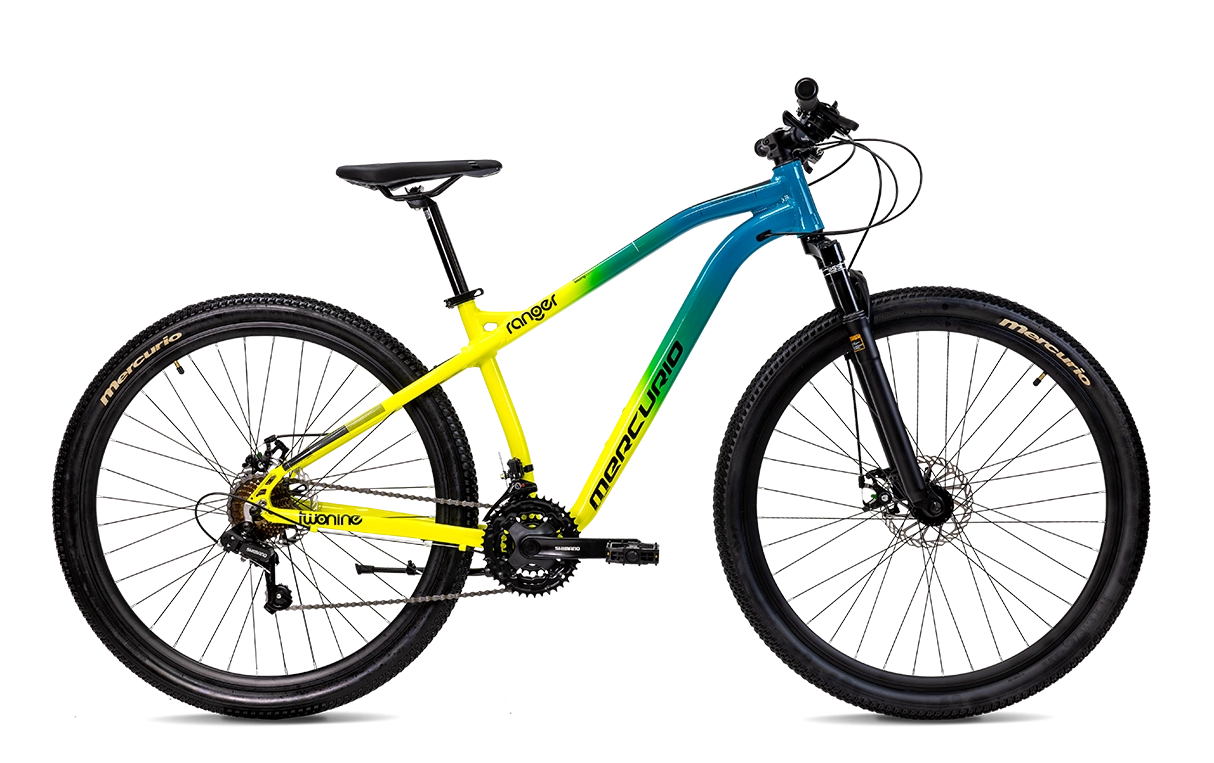 Bicicleta mercurio 29 discount expert